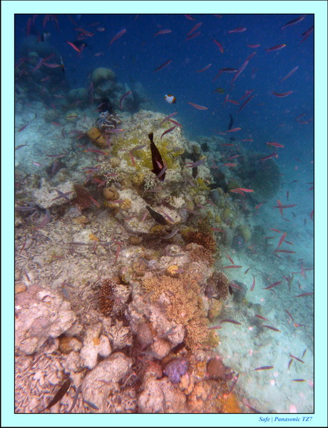 2009   07   Matakin 07